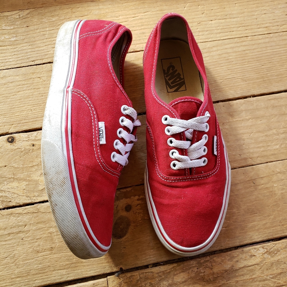 Vans Skate Shoe